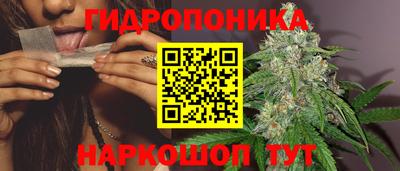 ГАЛЛЮЦИНОГЕННЫЕ ГРИБЫ Будённовск