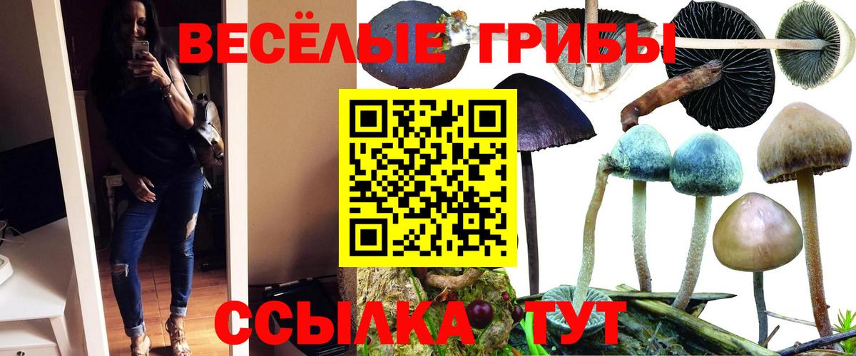 Галлюциногенные грибы ЛСД Чернушка