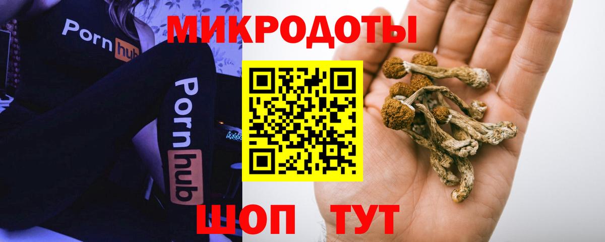 Галлюциногенные грибы Psilocybine cubensis  Вход с VPN  Чернушка 